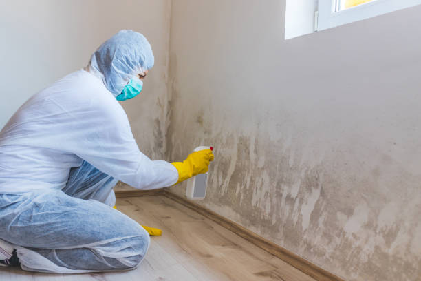 Licensed Mold Remediation service in Flower Mound, TX - 24 Hour Mold Removal