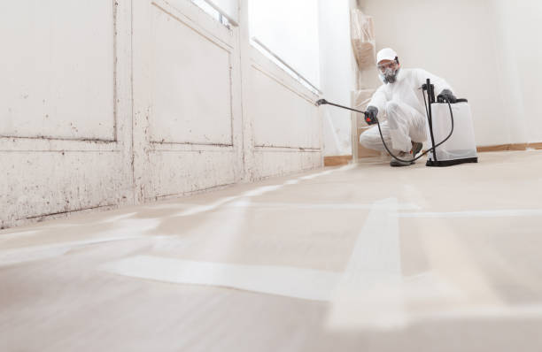 24/7 Emergency Mold Remediation experts in Flower Mound, TX