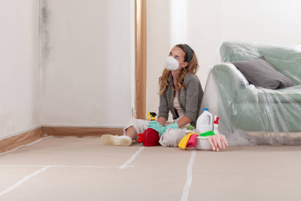 Reliable Mold Remediation contractor in Flower Mound, TX by 24 Hour Mold Removal